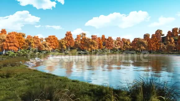 宁静的秋日在风景秀丽的森林池塘边视频的预览图
