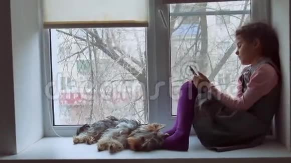 少女在网上玩智能手机游戏宠物狗坐在窗台窗台上视频的预览图