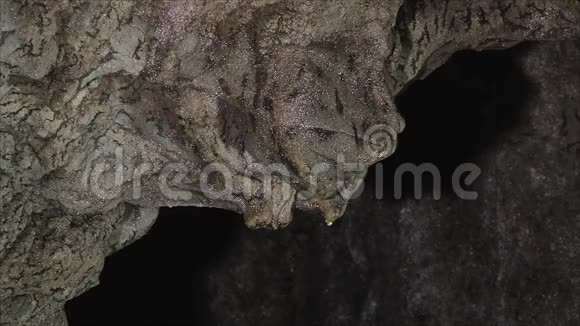 罗马尼亚波洛瓦吉洞穴的内部视频的预览图