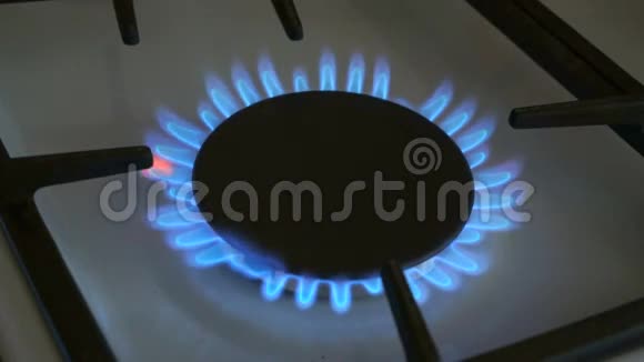 一个燃气燃烧器在燃气炉上燃烧蓝色火焰视频的预览图