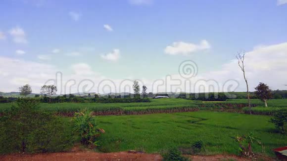 水稻农场与天空时间流逝视频的预览图