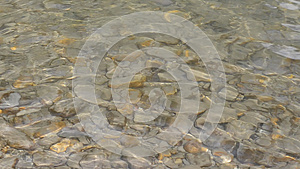 河水在浅水中快速流动可以看到大大小小的石块视频的预览图