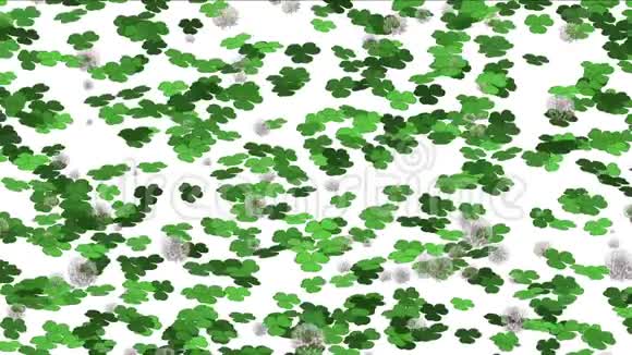 四叶草蒲公英发芽草坪草植被植物背景视频的预览图