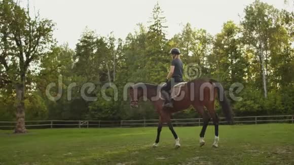 专业骑马俱乐部视频的预览图