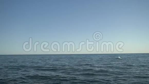 海天蓝的美丽背景视频的预览图