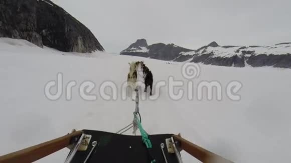 在阿拉斯加冰川的托博根狗雪橇视频的预览图