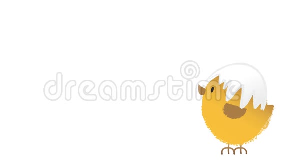 动画一个跳跃可爱的毛茸茸的复活节鸡其上有开裂的鸡蛋壳动画手绘卡图视频的预览图