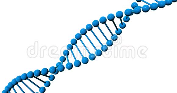 DNA链在白色背景上旋转视频的预览图