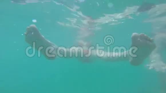 美丽的女孩在温暖的青色水中游泳暑假和假期积极的生活方式健康运动视频的预览图