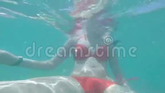 美丽的女孩在温暖的青色水中游泳暑假和假期积极的生活方式健康运动视频的预览图
