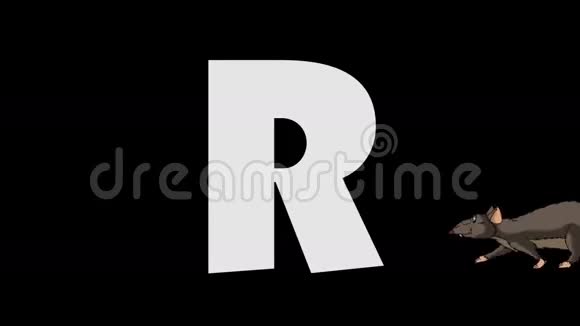 字母R和Rat背景视频的预览图