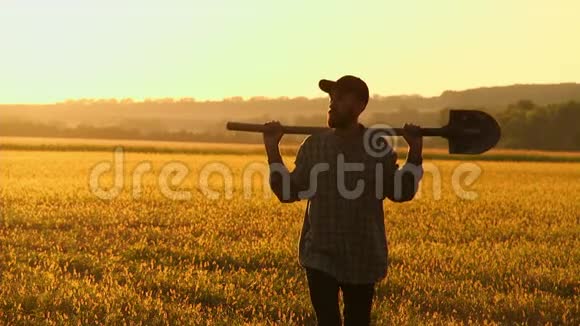 农夫拿着铲子走在田野上他们携带种植树木的设备在日落的时候侧视图视频的预览图