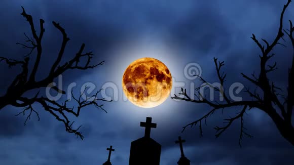 万圣节动画背景橙色月亮和橙色月亮背景下的古树和墓地剪影视频的预览图