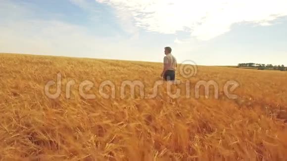 农民穿过田野的鸟瞰视频的预览图