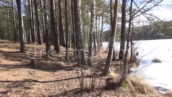 在春天的斯特雷什诺湖上休息视频的预览图