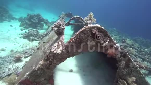 卓越是由雅克伊夫库斯托建造的苏丹红海珊瑚中的气泡玻璃鱼阳光视频的预览图