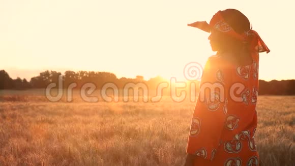 传统服装的非洲妇女站在日落或日出的农田视频的预览图