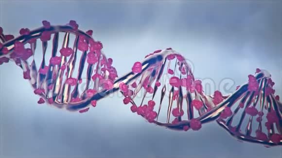 基因编辑处理改变DNA链视频的预览图