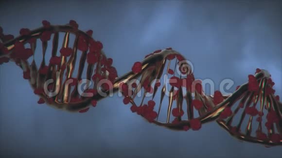 基因编辑处理改变DNA链视频的预览图