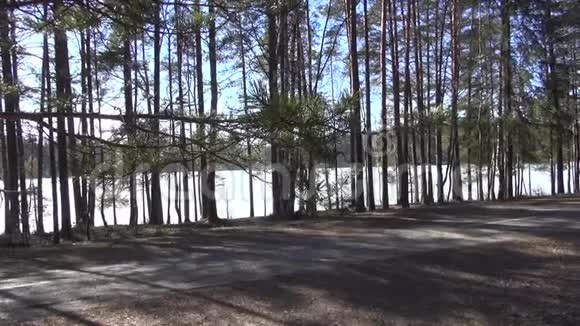 在春天的斯特雷什诺湖上休息视频的预览图