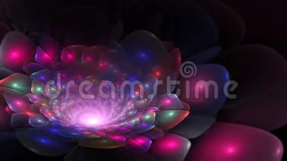 紫色抽象的彩色环状分形花视频的预览图