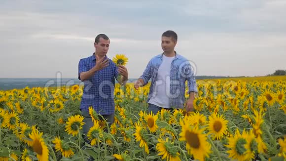 两个农民男子商务智能手机探索步行检查作物向日葵田间慢动作视频生活方式视频的预览图
