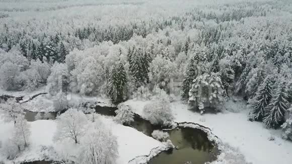 4K北部冬季冻林野生蜿蜒河流的空中全景视频的预览图