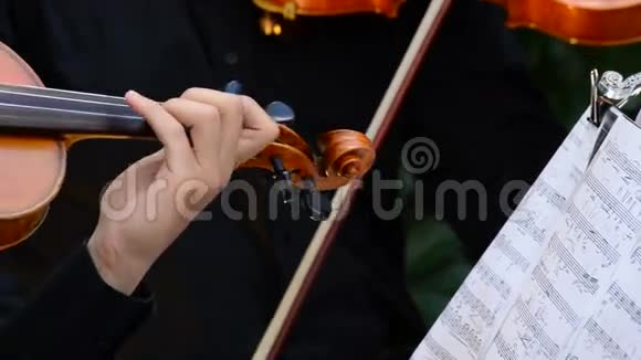 在音乐会上演奏小提琴或中提琴的音乐家视频的预览图