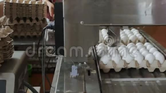 自动装置在家禽养殖场标记鸡蛋视频的预览图
