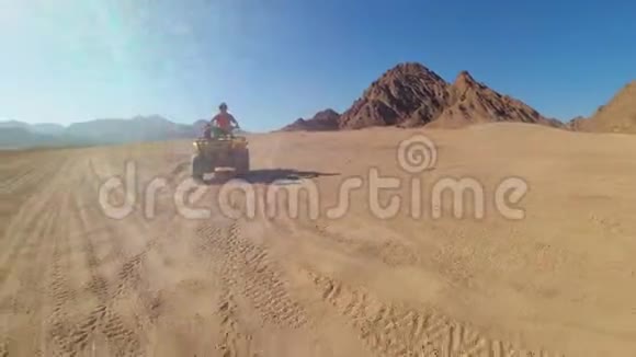 性感女孩正在埃及沙漠骑四人自行车动中的动态视图视频的预览图
