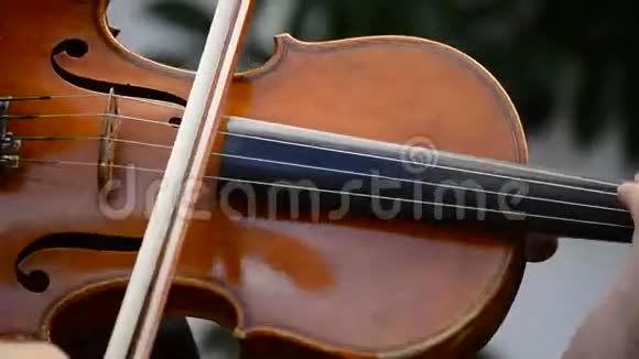 音乐会中演奏小提琴或中提琴的音乐家视频的预览图