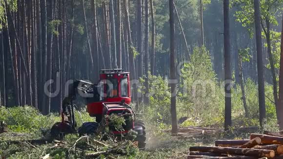伐木机的操作伐木机的生产视频的预览图