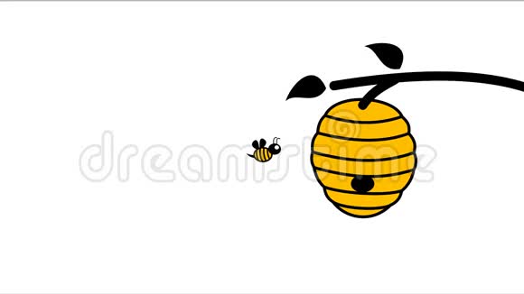 3只蜜蜂返回蜂巢视频的预览图