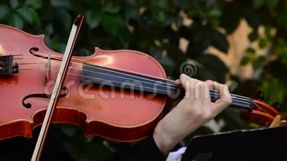 小提琴手在音乐会上演奏小提琴或中提琴视频的预览图