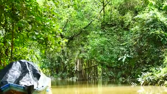 从泰国南部红树林的Kayaking看冒险概念视频的预览图