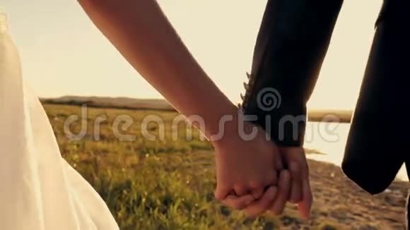 日落时分一对情侣在田野里牵手视频的预览图