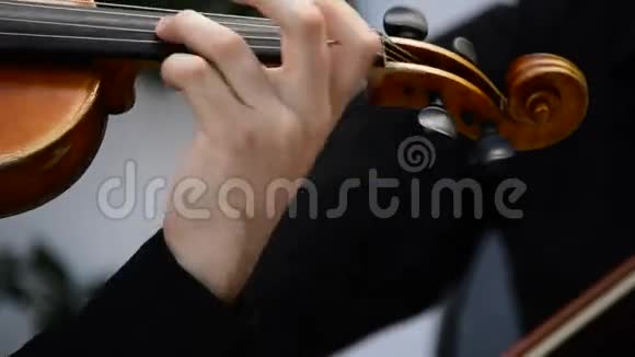 在弦乐四重奏中演奏小提琴或中提琴的音乐家视频的预览图