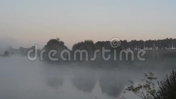 夏天森林里的晨雾视频的预览图