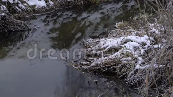 河流流经冬季森林视频的预览图