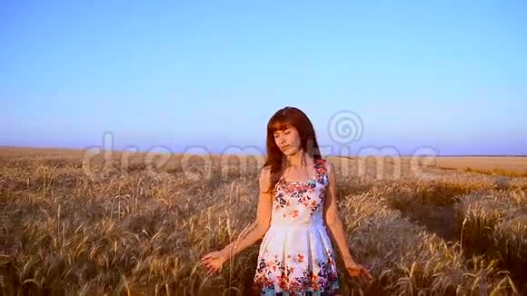 女孩带着小麦穿过田野视频的预览图