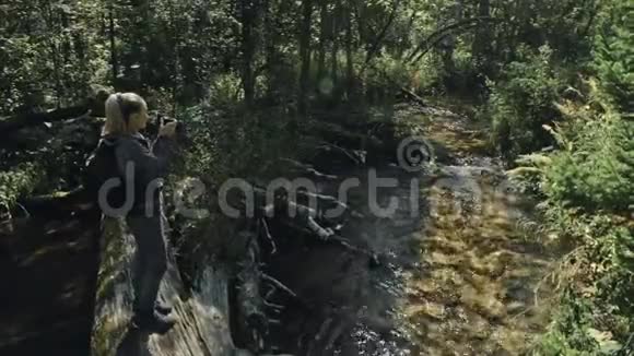 游客在森林河拍摄风景木桥倒树一个白种人女人用漂亮的魔法视频的预览图