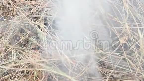 火烧干草对环境有危害视频的预览图
