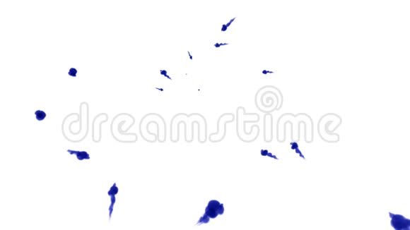 头顶拍摄的孤立的蓝色墨水在白色上形成一个圆圈颜色在水中卷曲缓慢运动用途视频的预览图