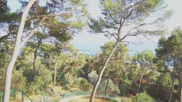马詹公园的景色视频的预览图