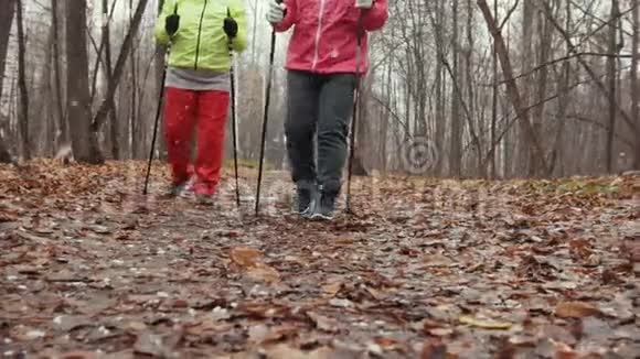 北欧漫步秋季公园两位高级女士在户外训练视频的预览图