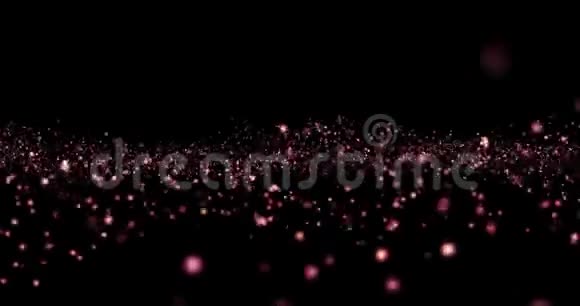 圣诞红紫紫光闪耀的粒子在黑色背景上循环往复节日祝贺视频的预览图