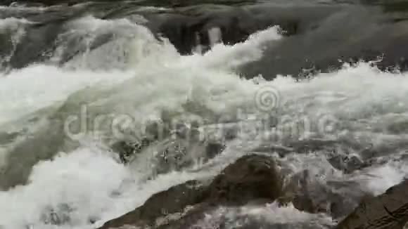 流淌着清澈的河水视频的预览图