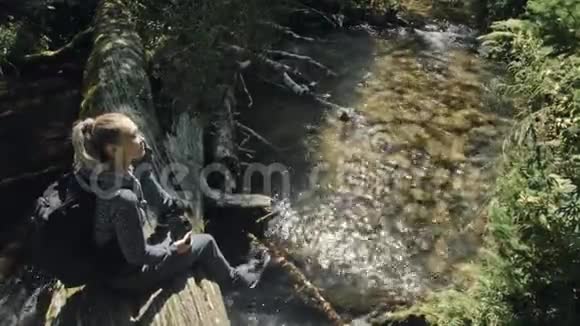 游客在森林河拍摄风景木桥倒树一个白种人女人用漂亮的魔法视频的预览图