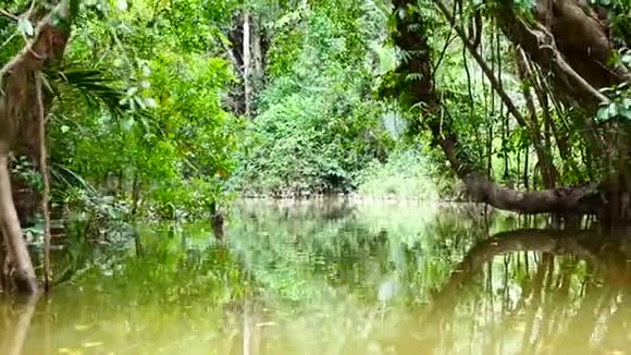 从泰国南部红树林中的皮划艇观看冒险概念视频的预览图