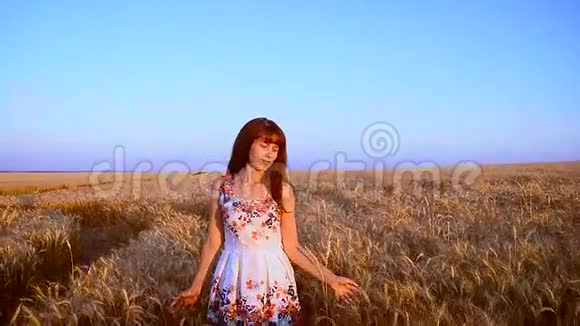 女孩带着小麦穿过田野视频的预览图